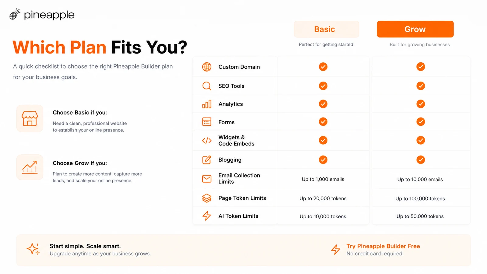 Pineapple Builder: buyer checklist, showing domain, editor control, forms, analytics, blogging, refund, cancellation, and platform ownership checks