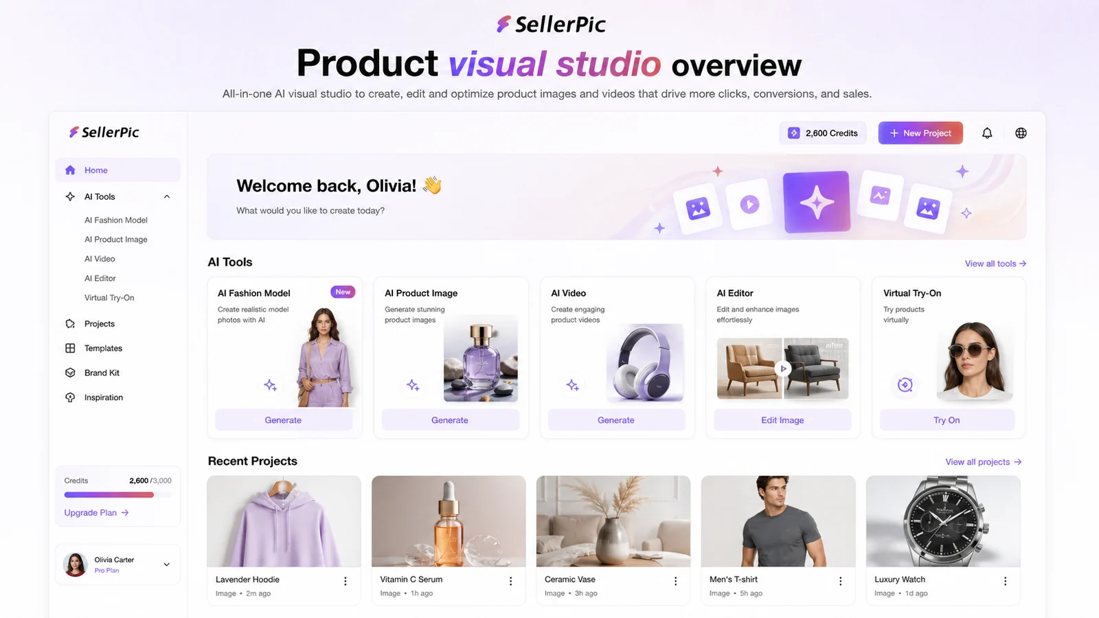 SellerPic: review snapshot showing ecommerce product photo workflow, credit risk, pricing checks, and alternatives
