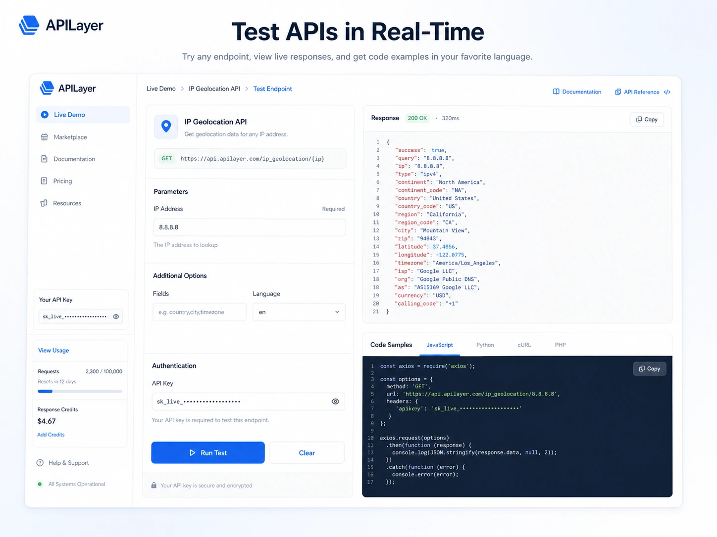 APILayer: live demo code sample, showing how a buyer tests an API endpoint before integration