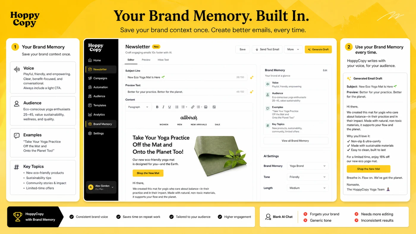 HoppyCopy: brand memory workflow, showing brand voice assets and audience context used for email generation