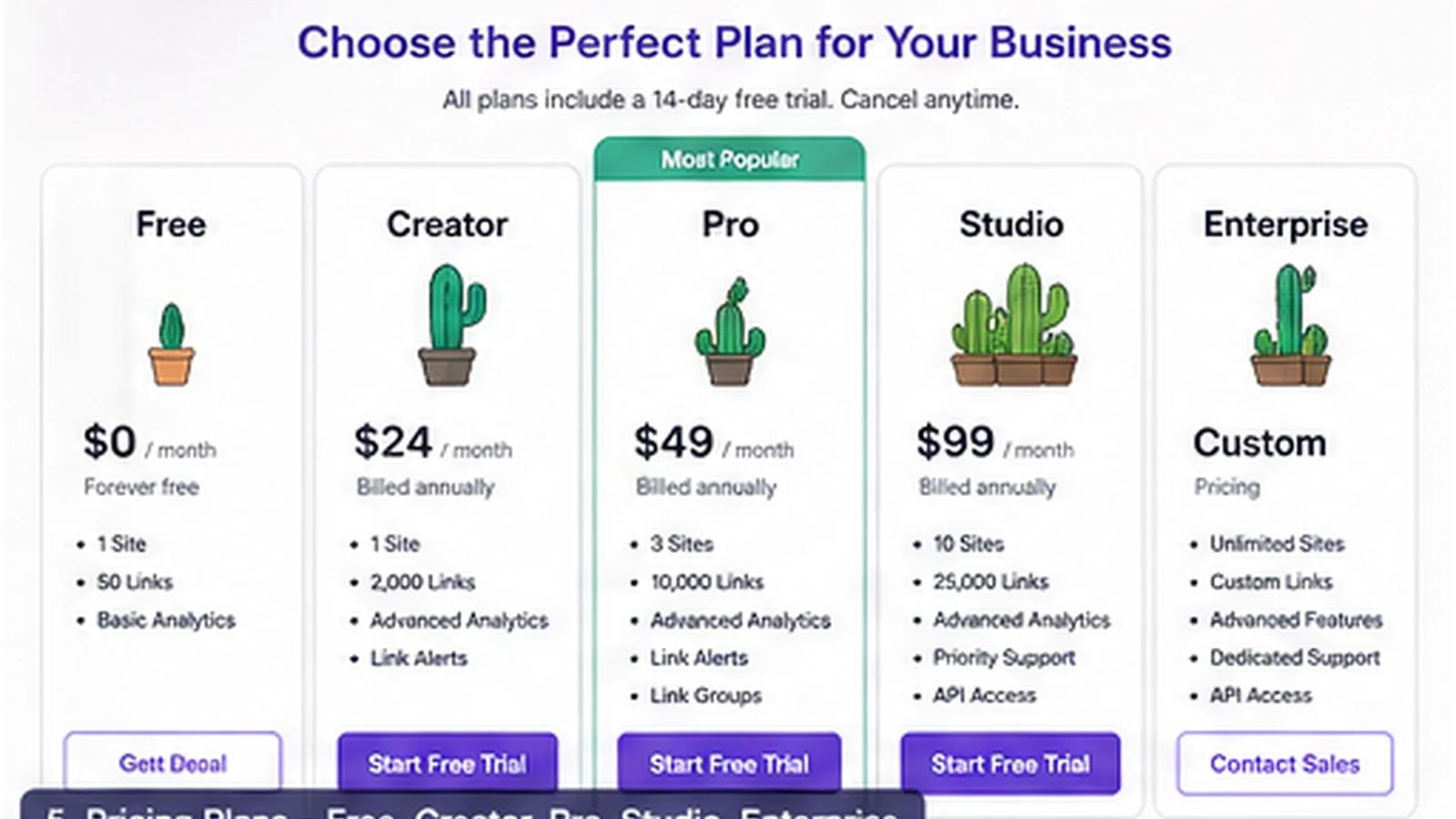 Lasso: pricing plan grid, showing Free, Creator, Pro, Studio, and Enterprise options before checkout